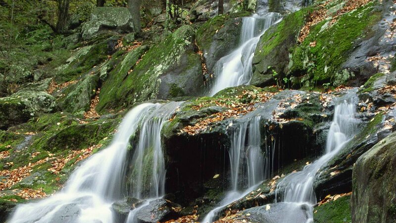 Waterfall in Forest — Green, Serene, Autumn, Photograph, Rocks, Moss, Leaves, Brown