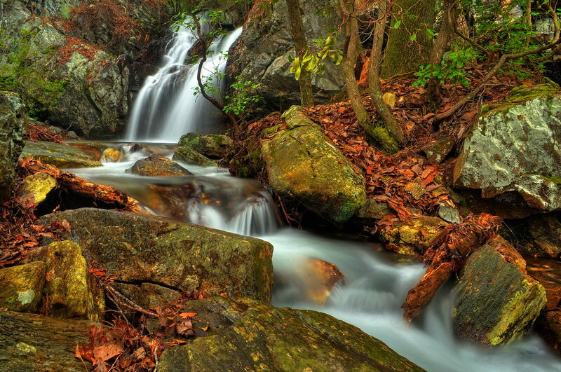 Waterfall in Forest — Green, Serene, Autumn, Photograph, Rocks, Trees, Leaves