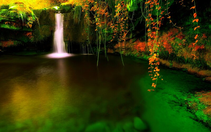 Waterfall in Forest — Green, Serene, Autumn, Photograph, Stream