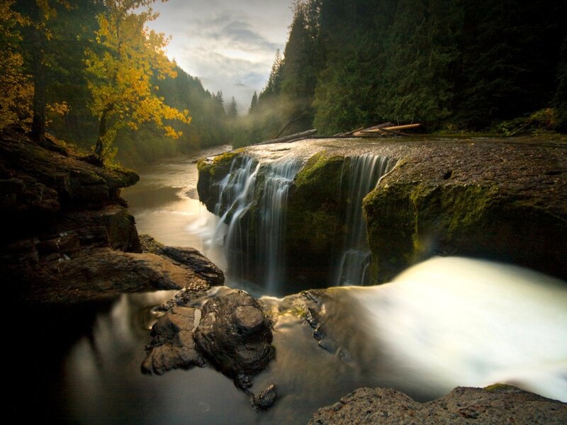 Waterfall in Forest — Green, Serene, Autumn, Photograph