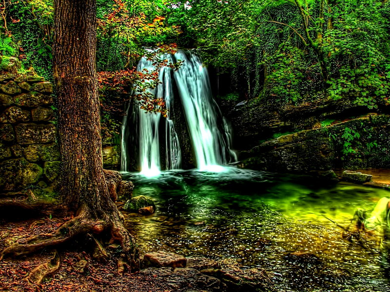 Waterfall in Forest — Green, Serene, Autumn, Photograph, Tree