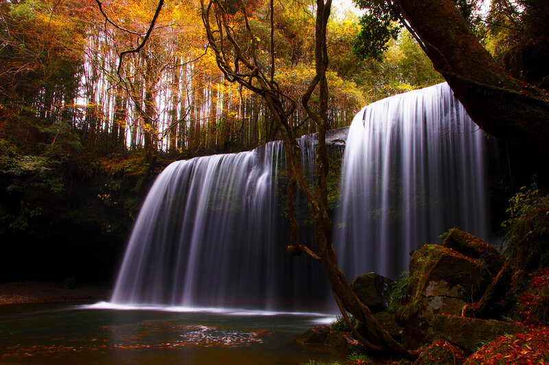 Waterfall in Forest — Green, Serene, Autumn, Photograph, Trees, Fallen Leaves