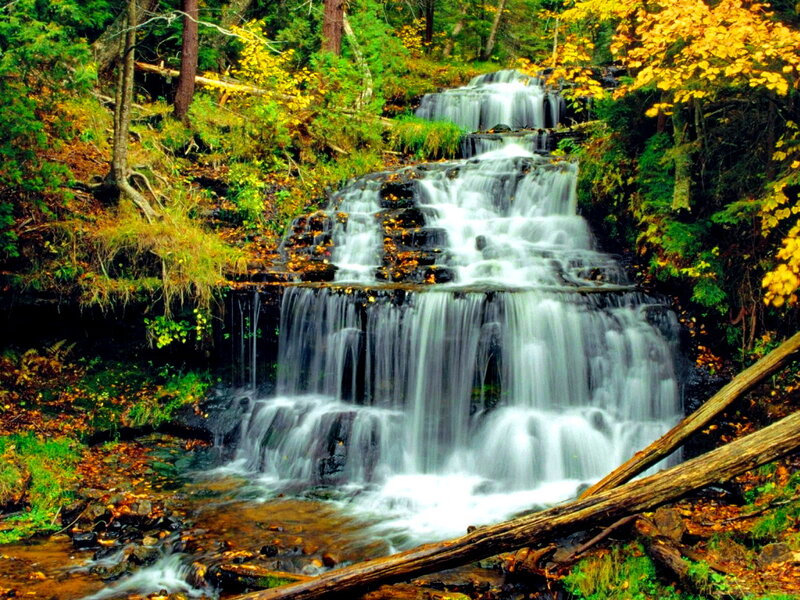 Waterfall in Forest — Green, Serene, Autumn, Photograph, Trees, Leaves, Rocks, Log