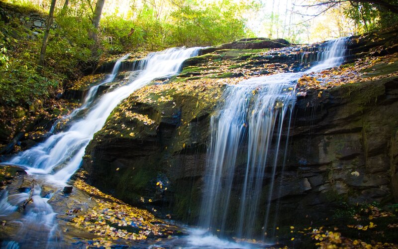 Waterfall in Forest — Green, Serene, Autumn, Photograph, Trees, Leaves, Rocks