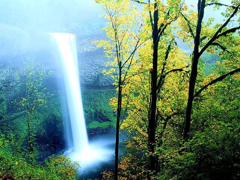 Waterfall in Forest — Green, Serene, Autumn, Photograph, Trees, Mist, Blue