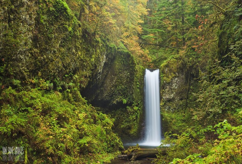 Waterfall in Forest — Green, Serene, Autumn, Photograph, Trees, Moss, Rock