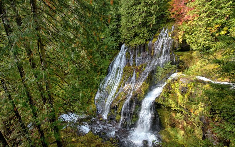 Waterfall in Forest — Green, Serene, Autumn, Photograph, Trees, Moss, Rocks, White, Brown