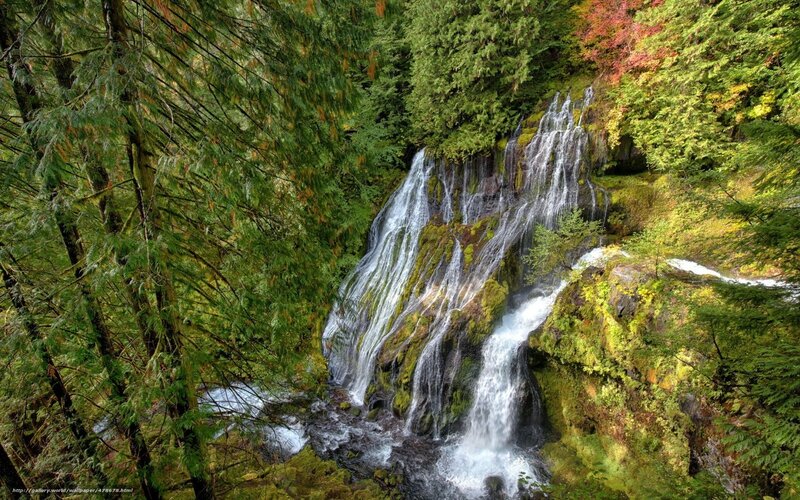 Waterfall in Forest — Green, Serene, Autumn, Photograph, Trees, Moss, Rocks, White