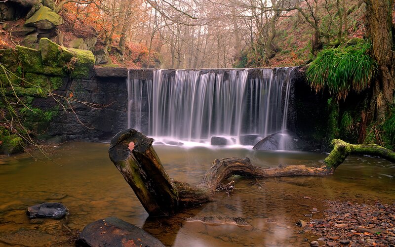 Waterfall in Forest — Green, Serene, Autumn, Photograph, Trees, River, Moss, Log, Brown