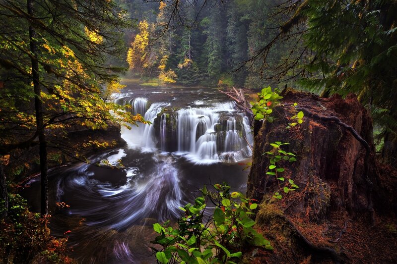 Waterfall in Forest — Green, Serene, Autumn, Photograph, Trees, River, Moss, Stump