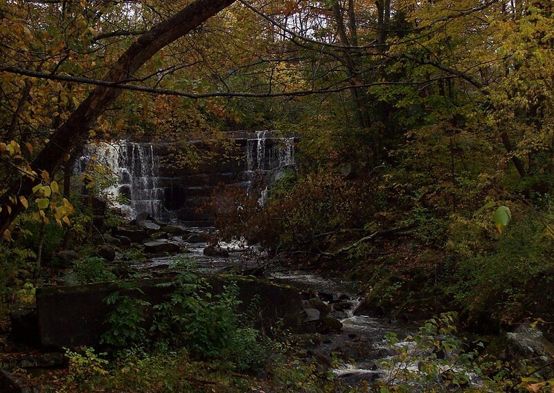 Waterfall in Forest — Green, Serene, Autumn, Photograph, Trees, River, Rocks, Fallen Leaves