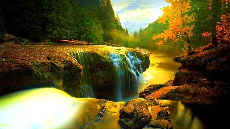 Waterfall in Forest — Green, Serene, Autumn, Photograph, Trees, River, Rocks, Sunlight