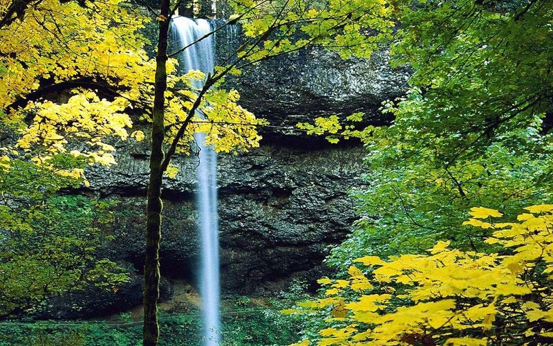 Waterfall in Forest — Green, Serene, Autumn, Photograph, Trees, Rock