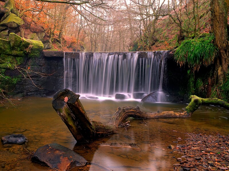 Waterfall in Forest — Green, Serene, Autumn, Photograph, Trees, Rocks, Driftwood