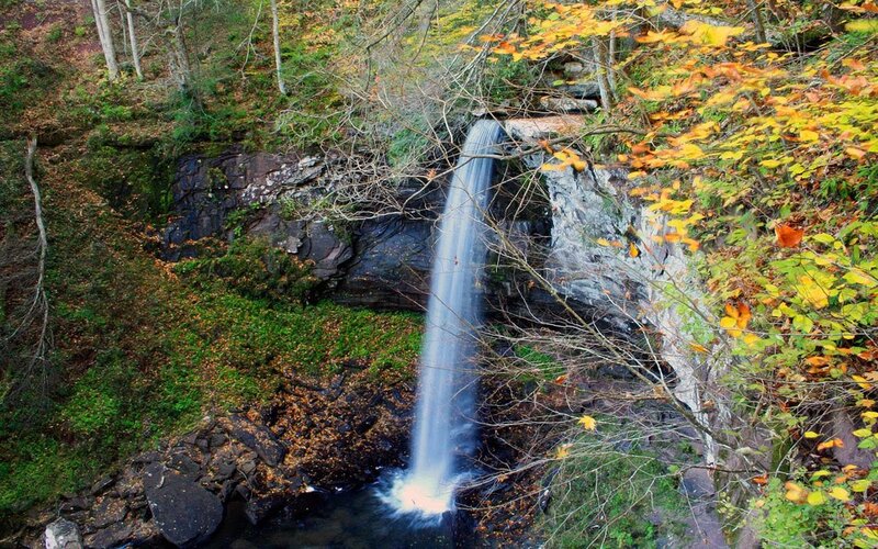 Waterfall in Forest — Green, Serene, Autumn, Photograph, Trees, Rocks, Fallen Leaves
