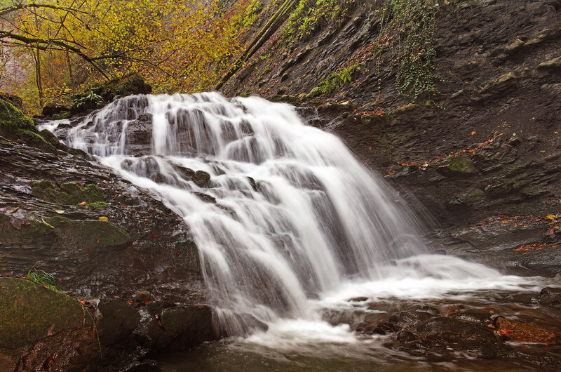 Waterfall in Forest — Green, Serene, Autumn, Photograph, Trees, Rocks, Leaves