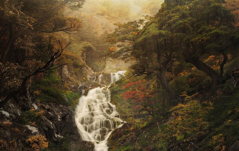 Waterfall in Forest — Green, Serene, Autumn, Photograph, Trees, Rocks, Mist, Brown