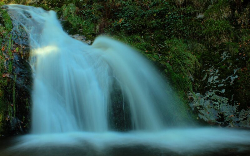 Waterfall in Forest — Green, Serene, Autumn, Photograph, Trees, Rocks, Moss, Blue