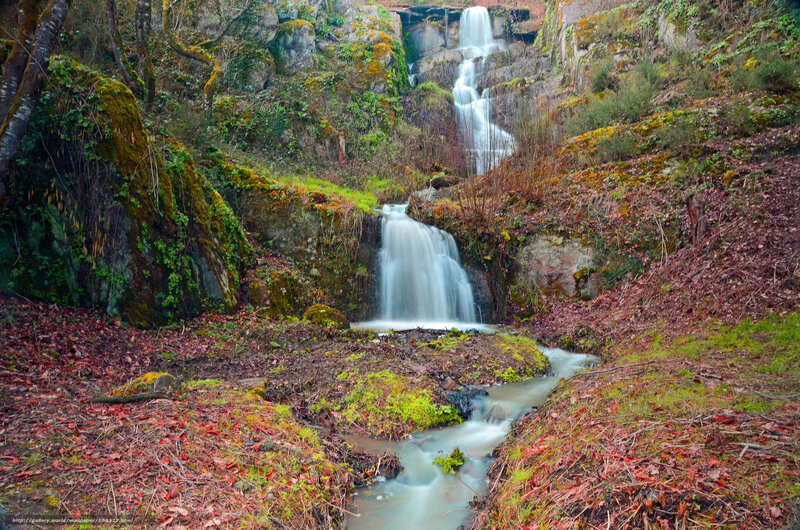 Waterfall in Forest — Green, Serene, Autumn, Photograph, Trees, Rocks, Moss, Brown, White