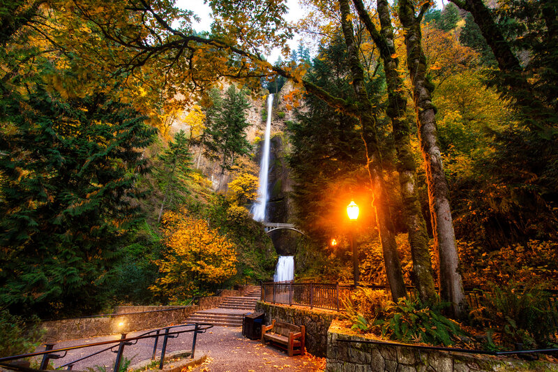 Waterfall in Forest — Green, Serene, Autumn, Photograph, Trees, Stairs