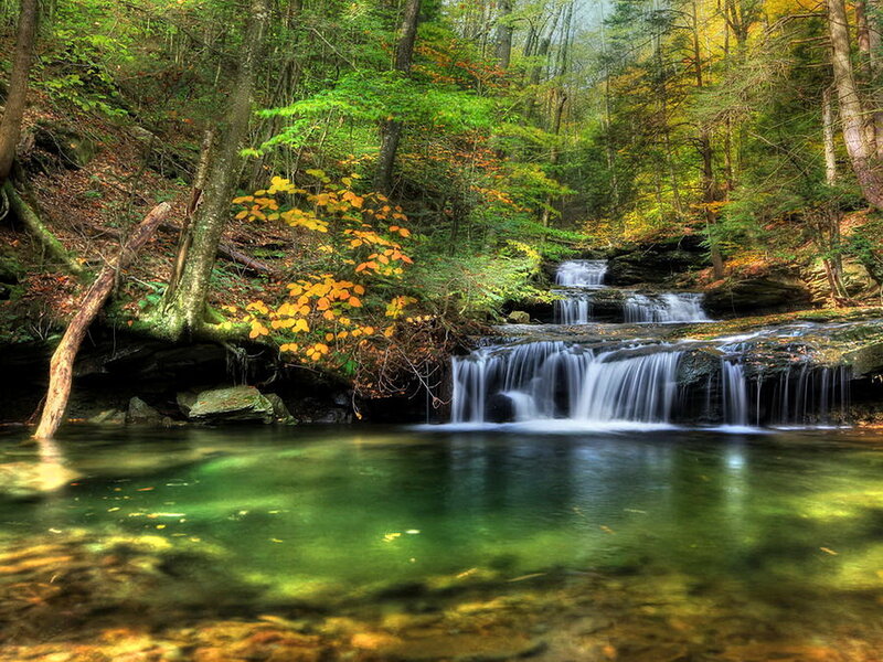 Waterfall in Forest — Green, Serene, Autumn, Photograph, Trees, Stream