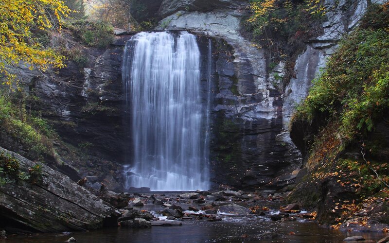 Waterfall in Forest — Green, Serene, Autumn, Photograph, Trees