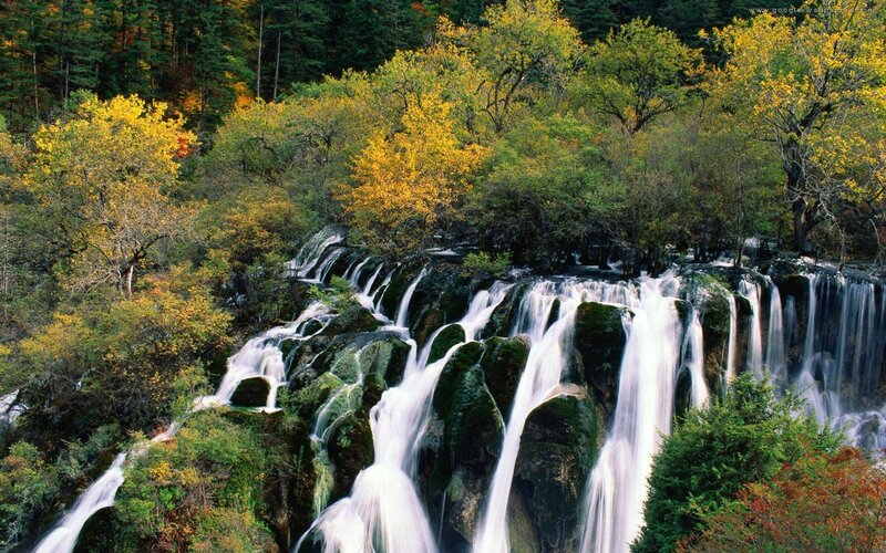 Waterfall in Forest — Green, Serene, Autumn