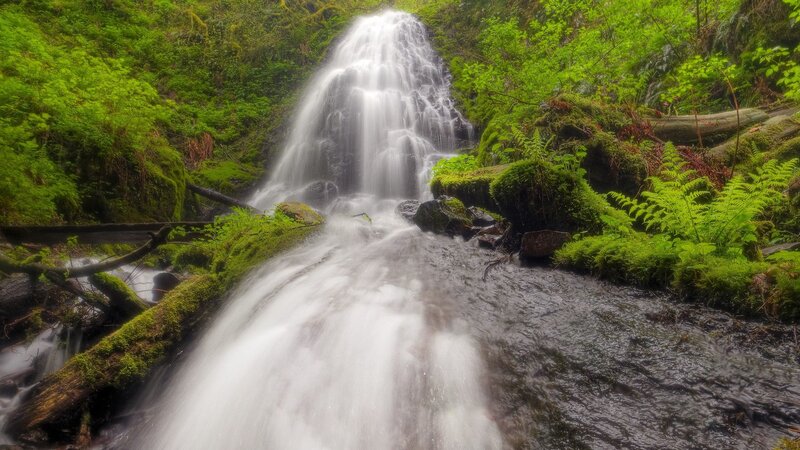 Waterfall in Forest — Green, Serene, Daytime, Photograph, Moss