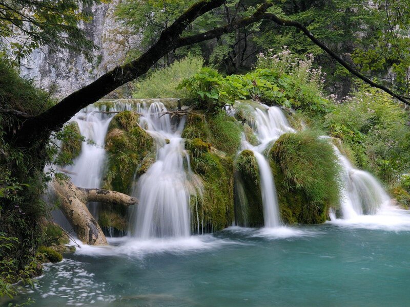 Waterfall in Forest — Green, Serene, Daytime, Photograph