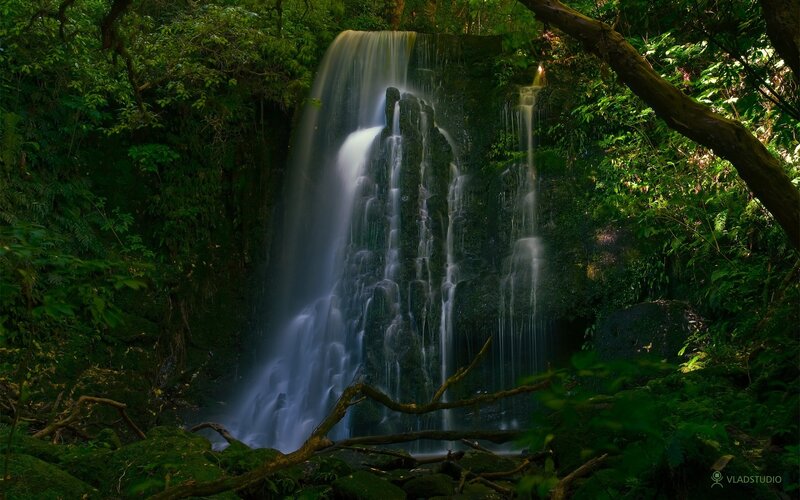 Waterfall in Forest — Green, Serene, Daytime, Photograph, Trees, Moss