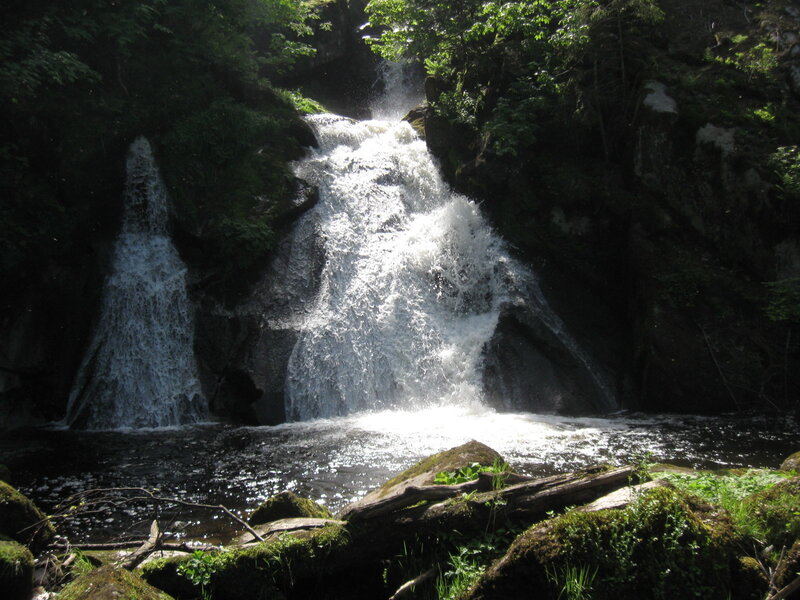 Waterfall in Forest — Green, Serene, Daytime, Photograph, Trees, Rocks, Pool