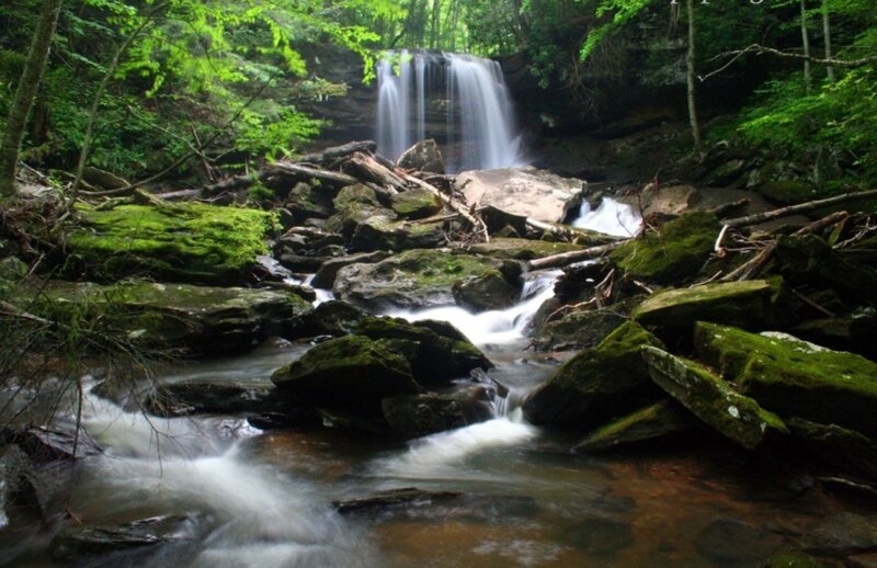 Waterfall in Forest — Green, Serene, Daytime, Photograph, Trees, Rocks, Stream