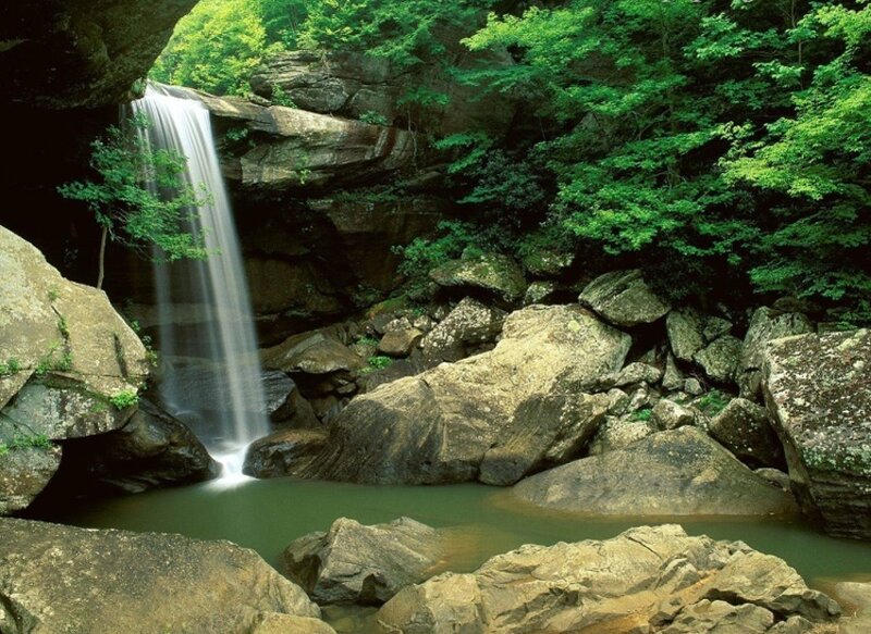 Waterfall in Forest — Green, Serene, Daytime, Photograph, Trees, Rocks