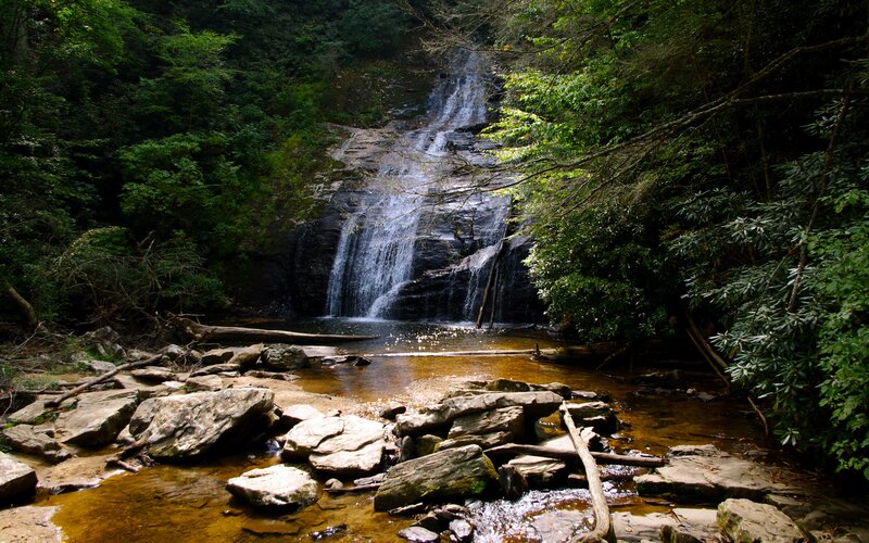 Waterfall in Forest — Green, Serene, Daytime, Photograph, Trees