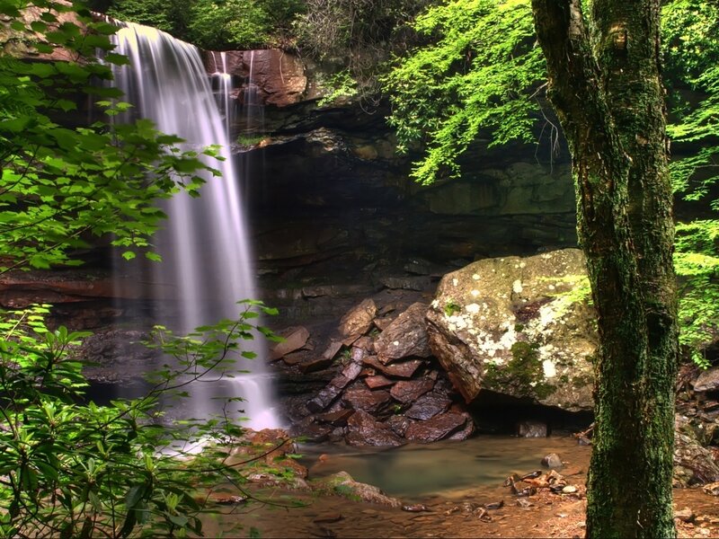 Waterfall in Forest — Green, Serene, Daytime