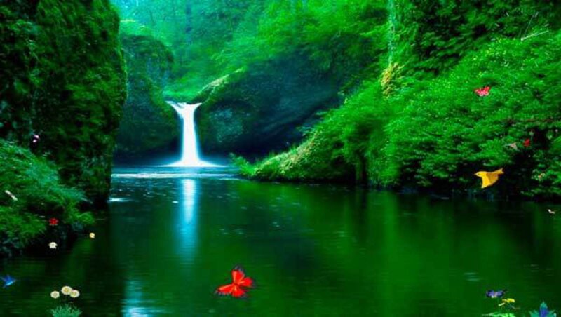 Waterfall in Forest — Green, Serene, Digital Art, Butterflies