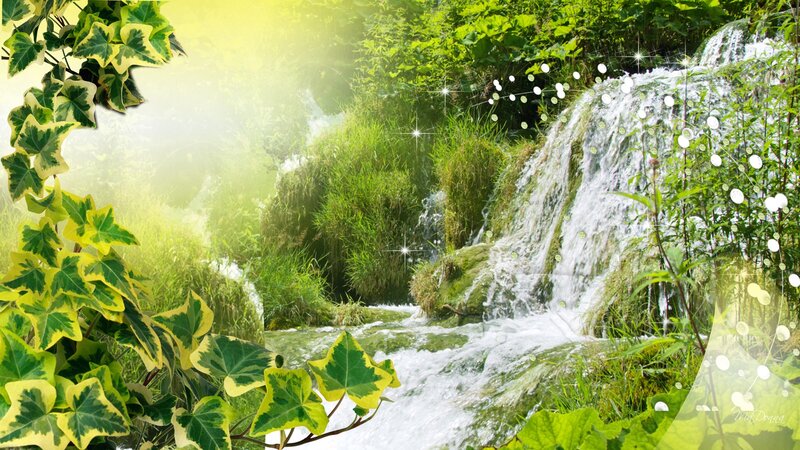 Waterfall in Forest — Green, Serene, Morning, Photograph, Leaves