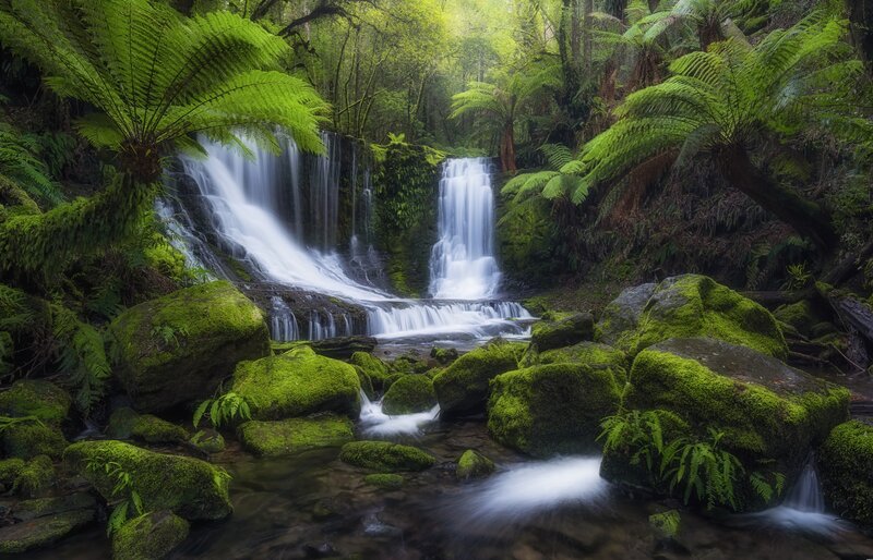 Waterfall in Forest — Green, Serene, Morning, Photograph, Moss, Ferns
