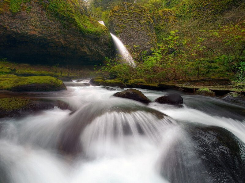Waterfall in Forest — Green, Serene, Morning, Photograph, River, Rocks, Moss