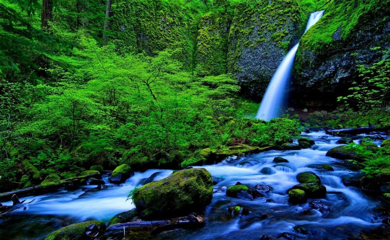 Waterfall in Forest — Green, Serene, Morning, Photograph, River, Rocks, Trees, Blue