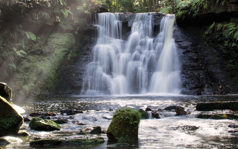 Waterfall in Forest — Green, Serene, Morning, Photograph, River, Rocks, Trees