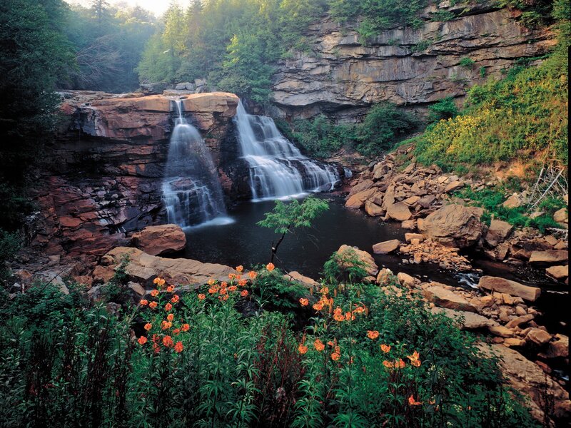 Waterfall in Forest — Green, Serene, Morning, Photograph, Rocks, Flowers
