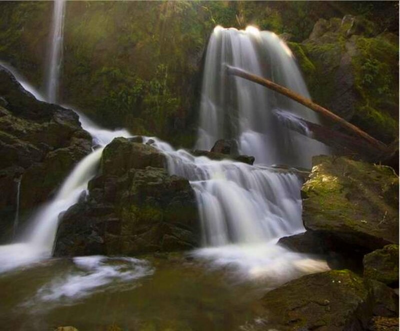 Waterfall in Forest — Green, Serene, Morning, Photograph, Rocks, Moss, Trees
