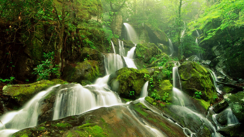 Waterfall in Forest — Green, Serene, Morning, Photograph, Rocks, Trees, Moss