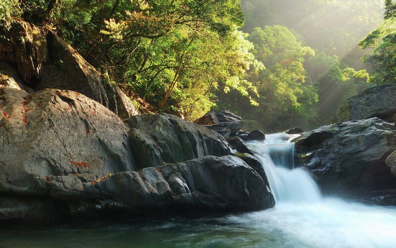 Waterfall in Forest — Green, Serene, Morning, Photograph, Rocks, Trees, Sunlight