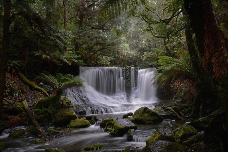 Waterfall in Forest — Green, Serene, Morning, Photograph, Trees, Ferns, Rocks