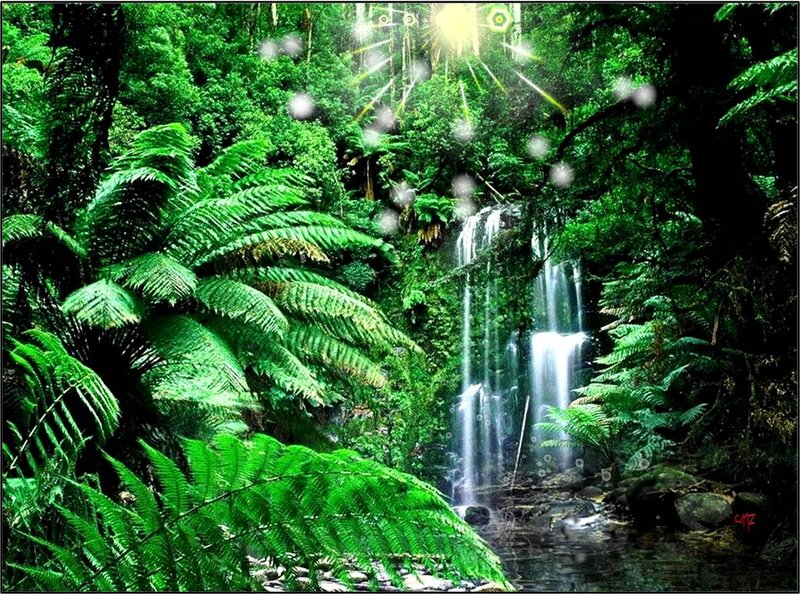 Waterfall in Forest — Green, Serene, Morning, Photograph, Trees, Ferns