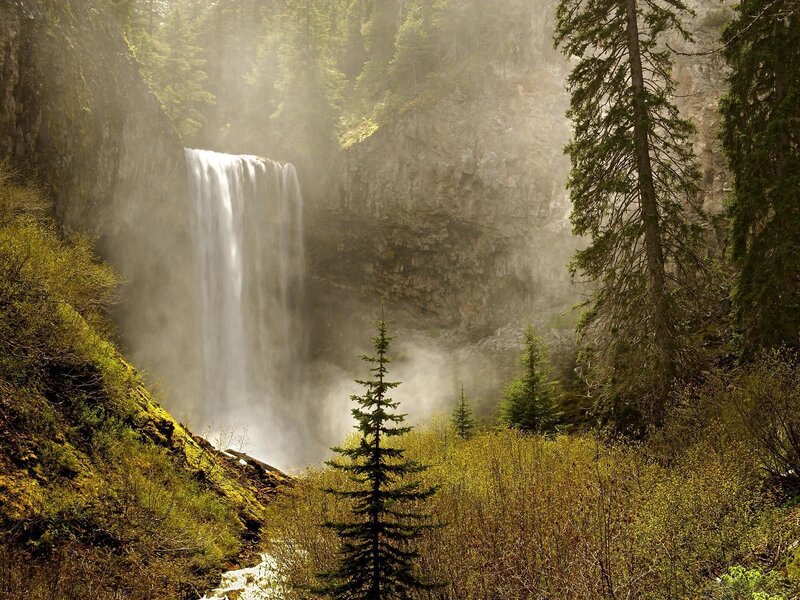 Waterfall in Forest — Green, Serene, Morning, Photograph, Trees, Mist, Cliff, Brown, White