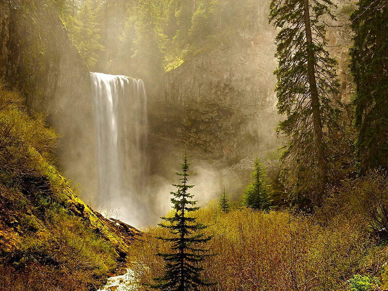 Waterfall in Forest — Green, Serene, Morning, Photograph, Trees, Mist, Cliff