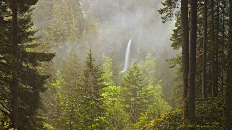 Waterfall in Forest — Green, Serene, Morning, Photograph, Trees, Mist